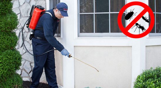 Ulukışla Dezenfeksiyon böcek ilaçlama ve haşere kontrolü — ilaclama-tr.com